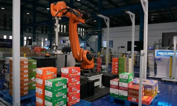 เคส KUKA | 3D Vision Guided Multi-SKU Carton Mixed Palletizing