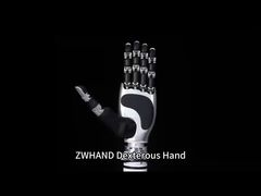 ZWHAND Dexterous Robotic Hand หุ่นยนต์ฮิวแมนนอยด์
